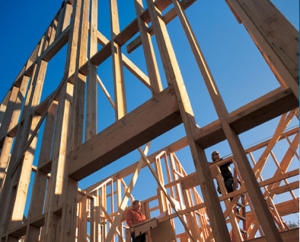 builder contractor