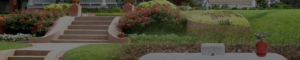 A blurry image of flowers and bushes in the background.