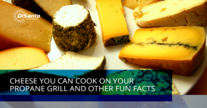 A plate of food with cheese and other foods.