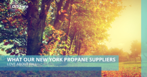 A picture of the new york propane supplier logo.