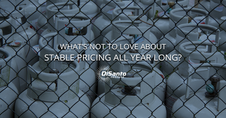 A fence with many gas cylinders behind it.